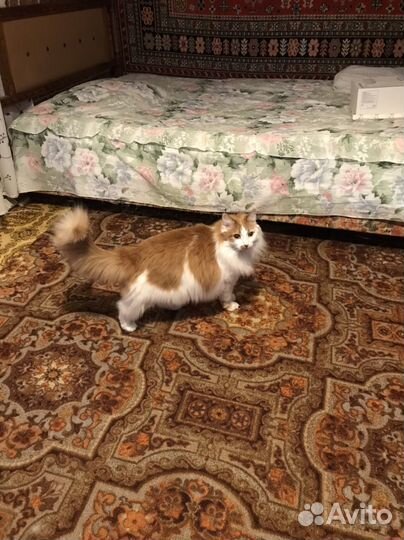 Покрывало на 2 х спальную кровать