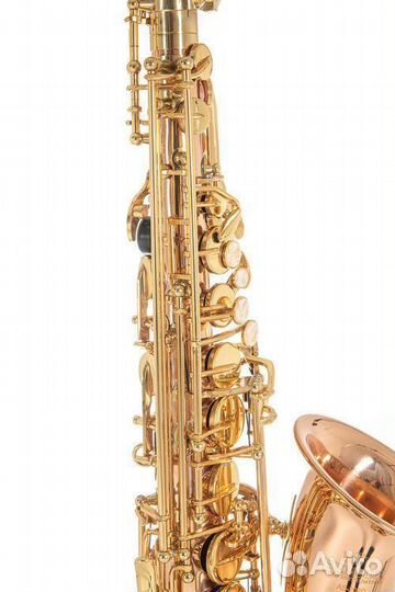 Саксофон альт Roy Benson AS-202G