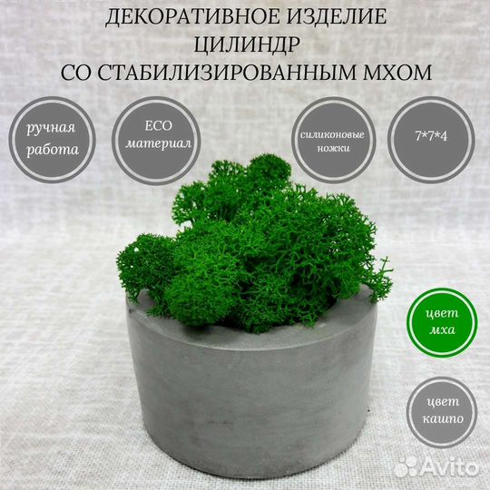 Декоративное изделие цилиндр со мхом