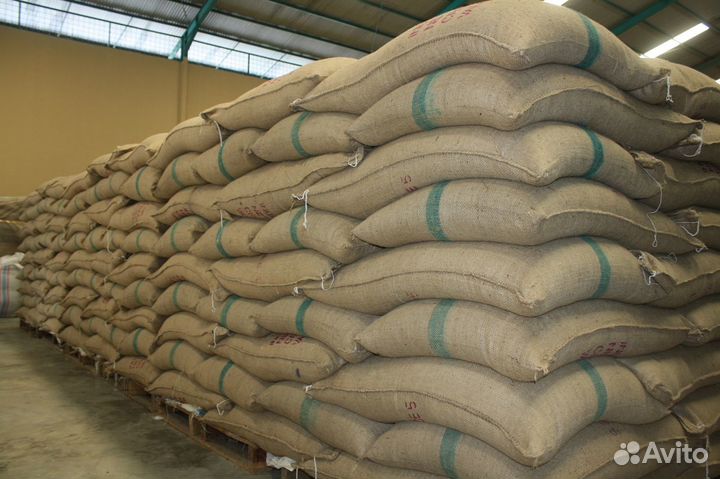 Кофе зеленый в зернах Brazil Santos Робуста Вьетна