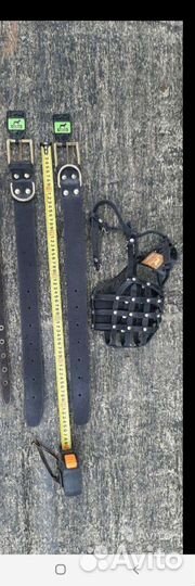 Амуниция для собак