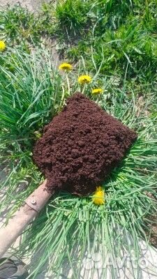 Торф в мешках