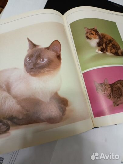 Книги о кошках