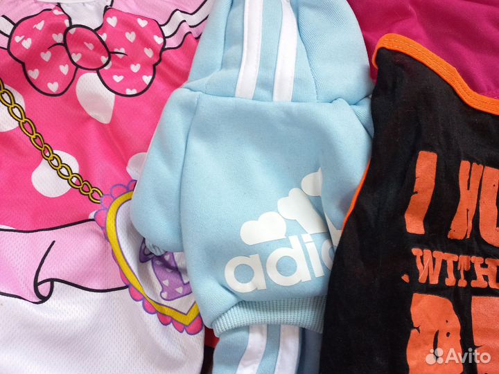 Одежда для маленьких собак