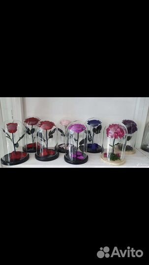 Роза в колбе 27 см Bonito