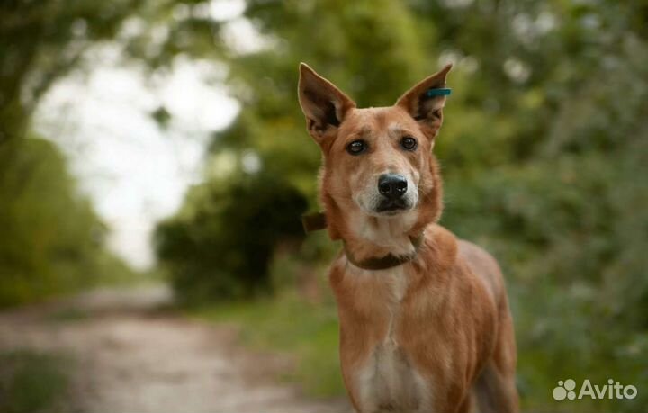 Парень сидит в приюте
