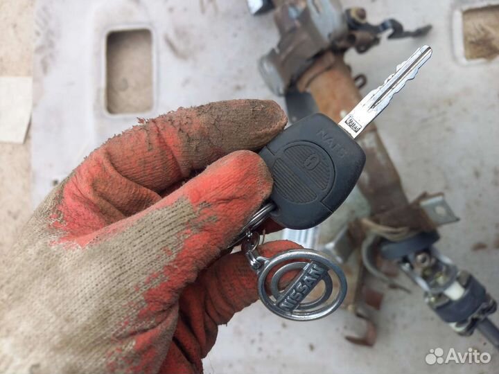 Эбу nissan primera p11