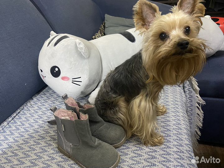 Ботинки демисезонные для девочки 27 размер