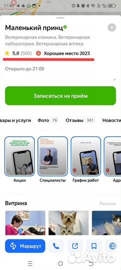 Кастрация кота или собаки