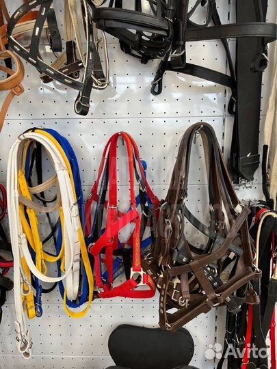 Конная амуниция для лошади
