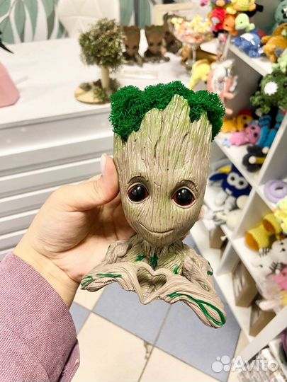 Цетрария в груте