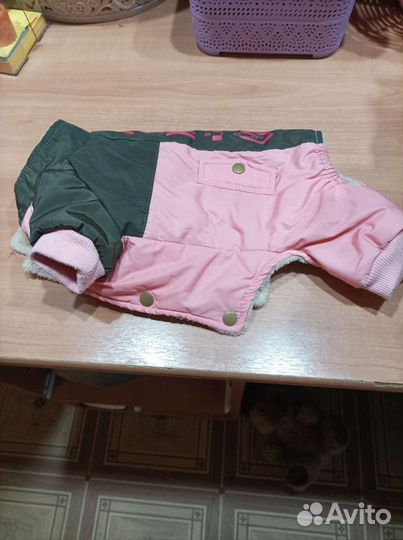 Одежда для животных