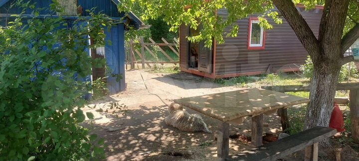 Участок 6 сот. (СНТ, ДНП)