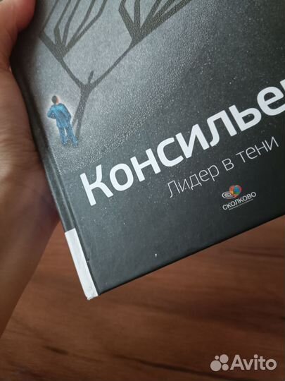 Консильери. Лидер в тени, Хитнер