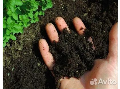 Торфосмесь