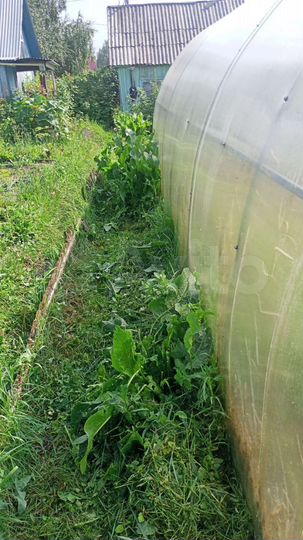 Участок 3 сот. (СНТ, ДНП)