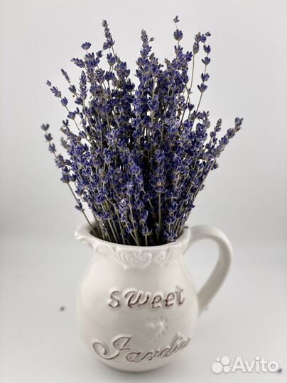 Лаванда в вазе