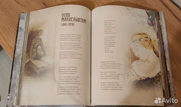 Книга. Серебряный век. Избранная лирика