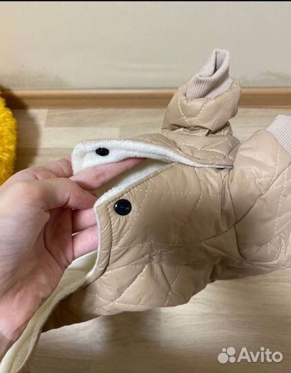 Костюм для собак мелких пород