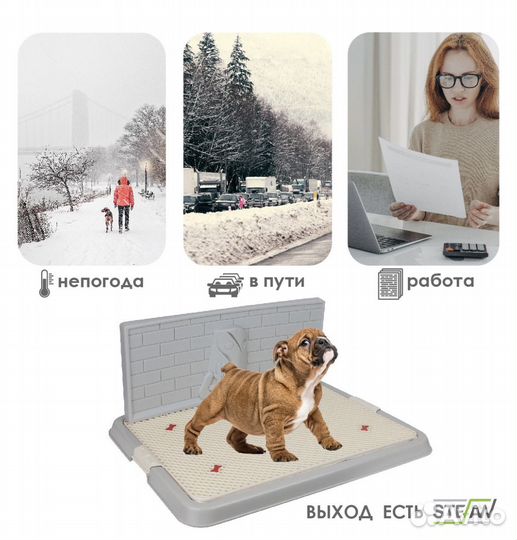 Туалет лоток для собак со стенкой stefan (Штефан)