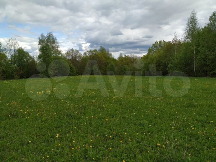 Дом 48 м² на участке 30 сот.