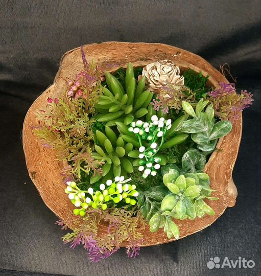 Флорариум банзай