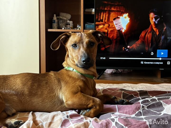 Кабель для вязки