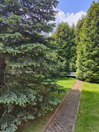 Дом 250 м² на участке 22 сот.