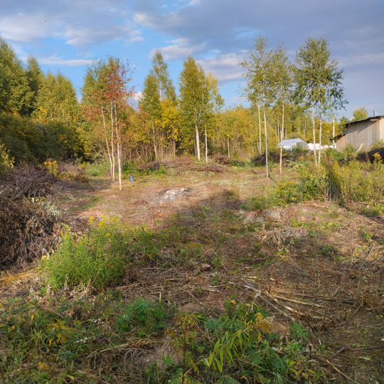 Участок 10 сот. (ИЖС)