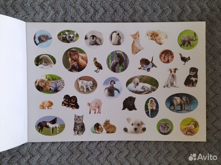 Набор наклеек новый