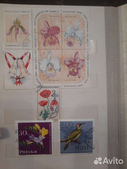 Коллеционная этикетка