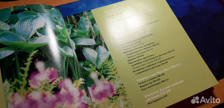 Неприхотливые растения для вашего сада