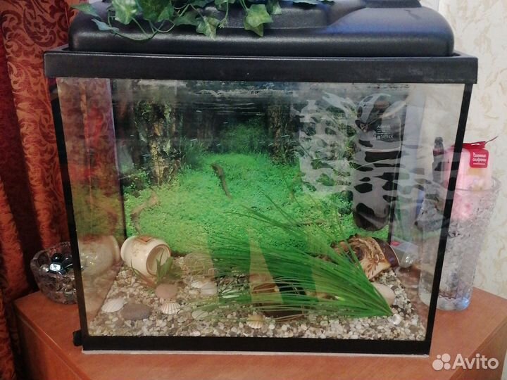Аквариум с фильтром и светом