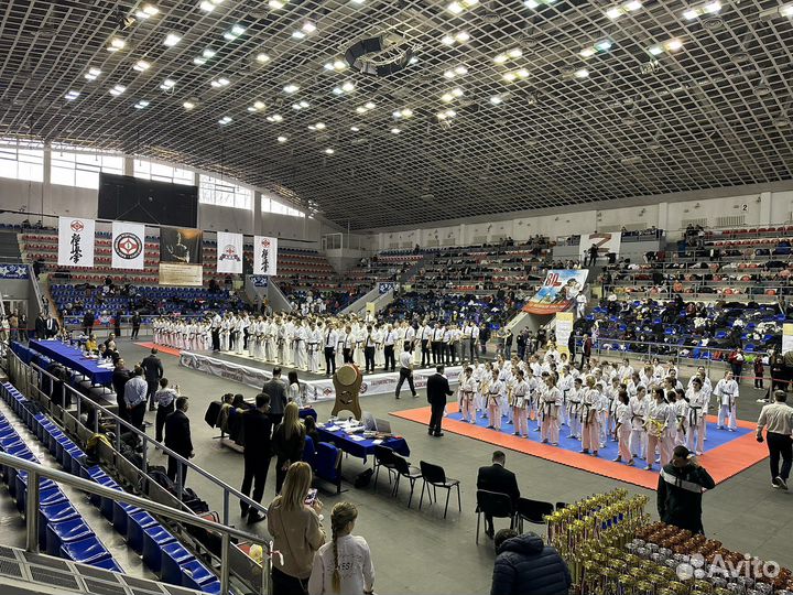 Каратэ Киокушинкай