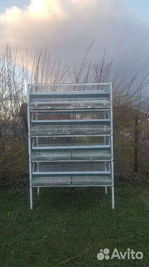 Клетка для перепелов на 50, 100, 150 и 200 голов