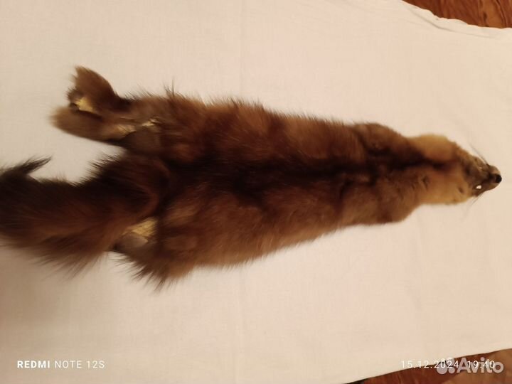 Шкурка соболя выделанная