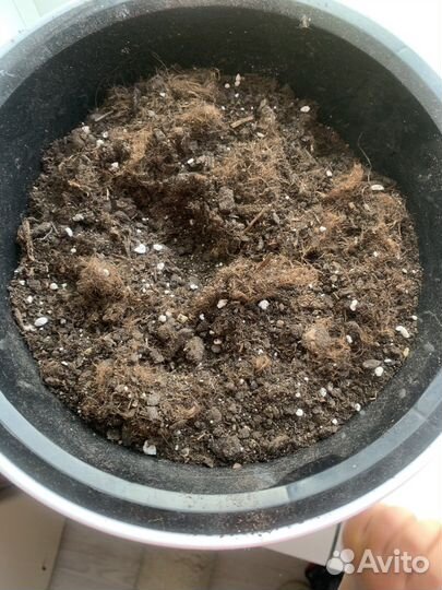 Горшок для цветов