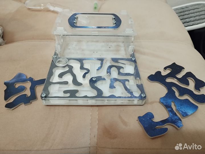 Муравьиная ферма формикарий