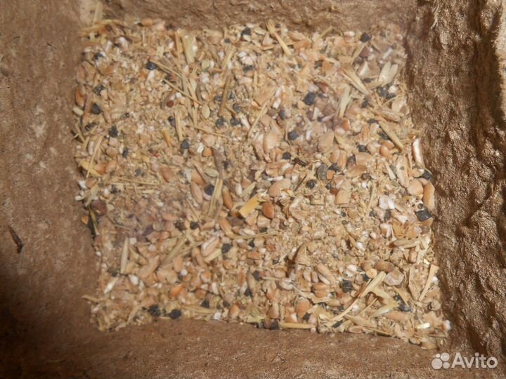 Комбикорм,зерносмеси,дробленка,кукуруза