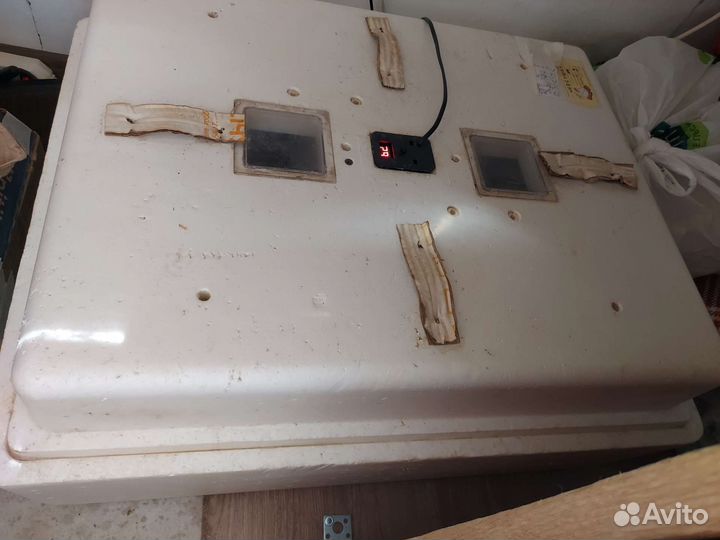 Инкубатор для яиц