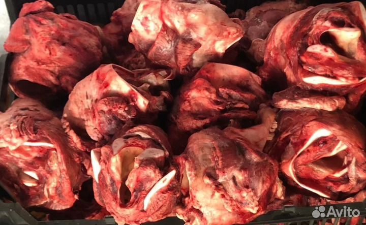 Обрезь - мясо для собак с доставкой