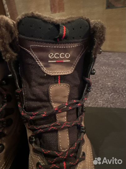 Ботинки зимние женские Ecco