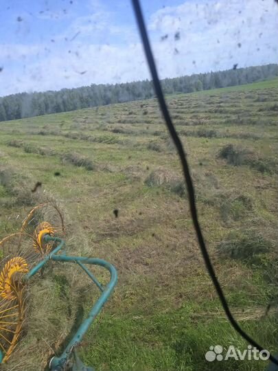 Сено в тюках