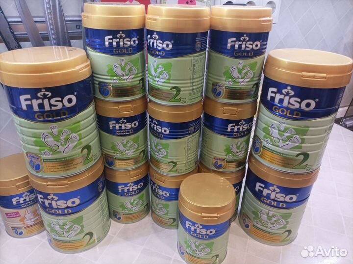 Friso gold 2