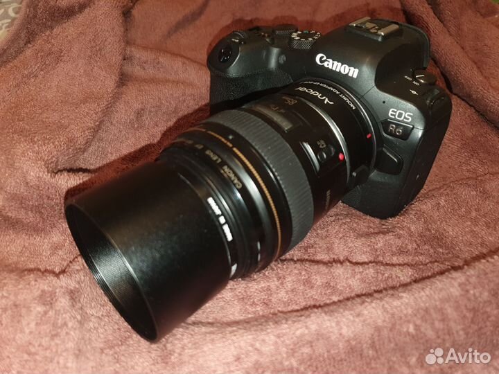 Беззеркальный фотоаппарат Canon eos R6 body