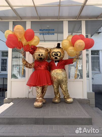 Ростовая Кукла/Мишка/Праздник/Аниматор/Выписка