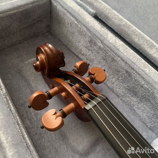 Скрипка Stentor 1/2