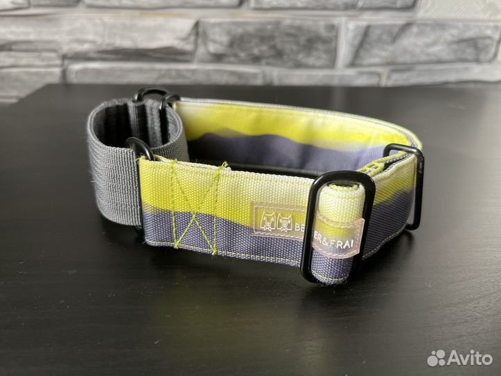 Ошейник мартингейл