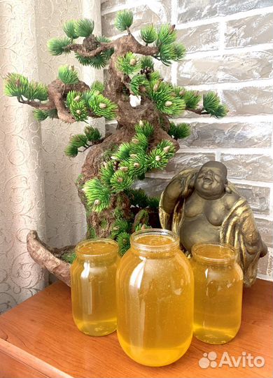 Донниковый мед (сбор 2023)