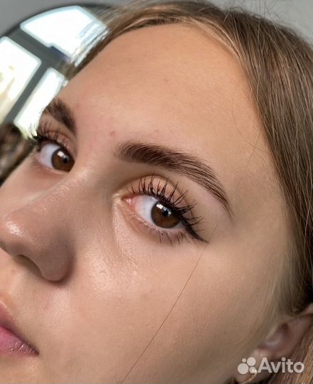 Архитектура бровей